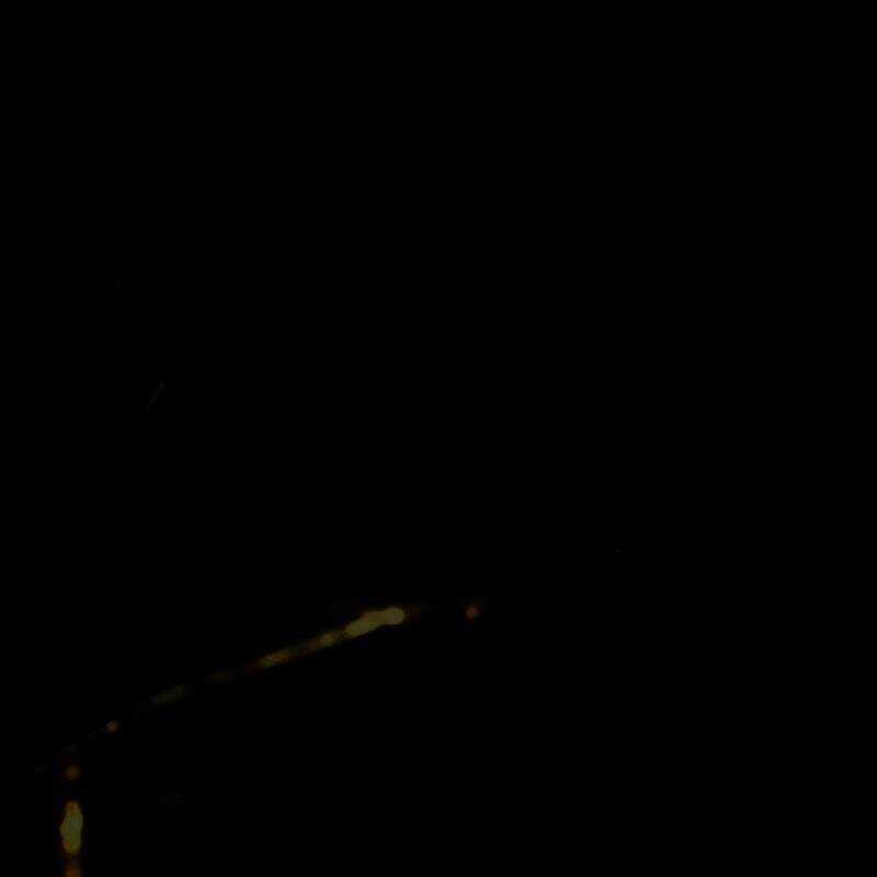 《明末：渊虚之羽》游戏截图