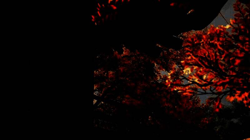 《刺客信条：影》游戏截图之精彩瞬间