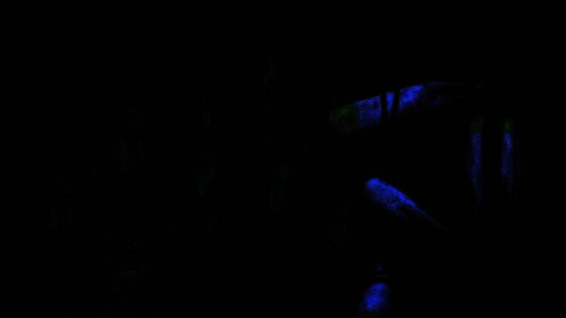 《刺客信条：影》游戏截图之壮丽景象