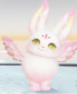 绒绒宝宝 - 栀栀宠物图