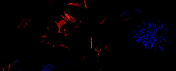 金铲铲之战月男相关图片2