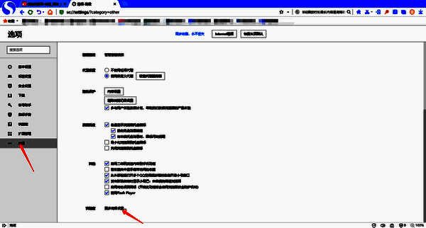 选项界面高级设置操作图