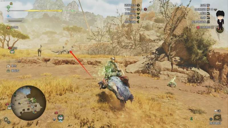 《怪物猎人：荒野》眠草和蜂蜜采集路线图片1