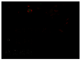 格雷福斯弈子图片