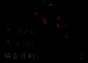 纳亚菲利弈子图片