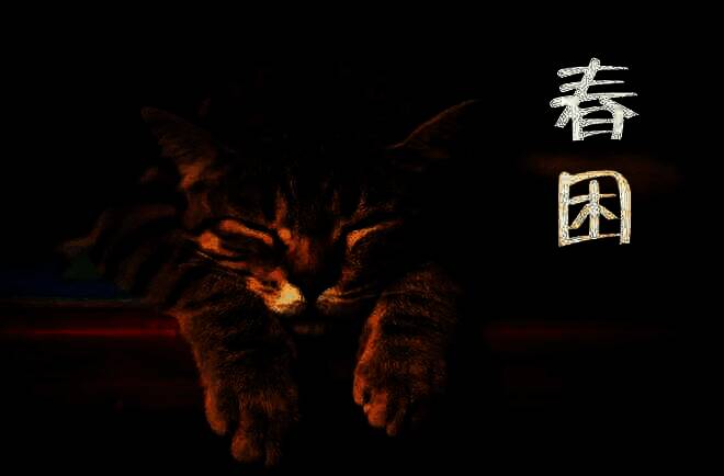 支付宝蚂蚁庄园答题相关图片