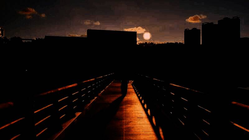 《inZOI》视频截图4