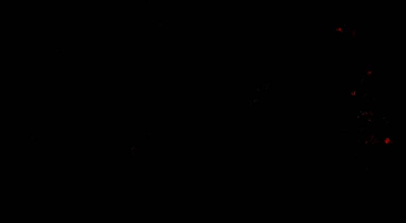 《魔法门之英雄无敌：上古纪元》视频截图2