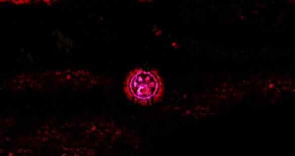 花园地区蓓娜丽怪物图片