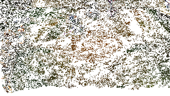 雷恩加尔实战效果图