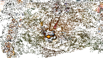 古拉加斯实战效果动图