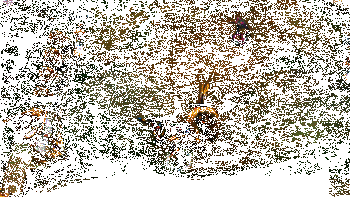 悠米实战效果动图