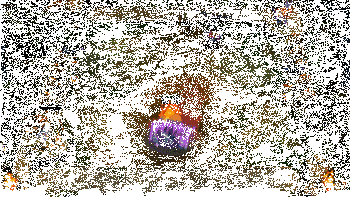 金克丝实战效果展示