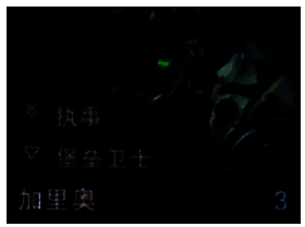 加里奥弈子形象