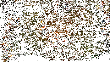 嘉文四世实战效果动图