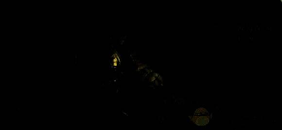 欧勾克角色画面