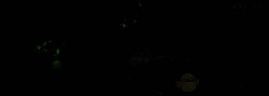 密林祭司·雅莎尔角色形象