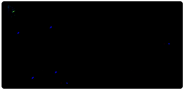 布隆技能展示图
