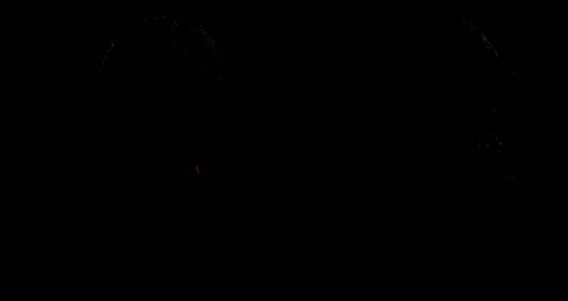 布鲁斯·韦恩概念图