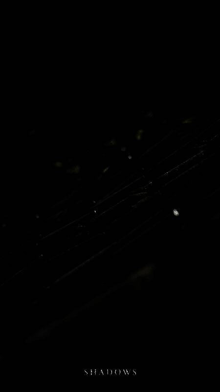 《刺客信条：影》手机壁纸3