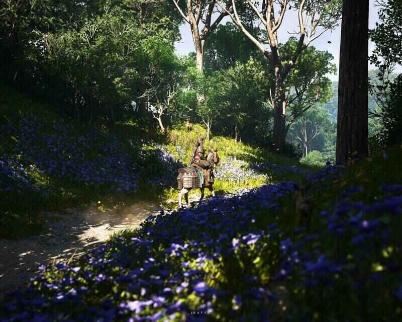 《刺客信条：影》手机壁纸12