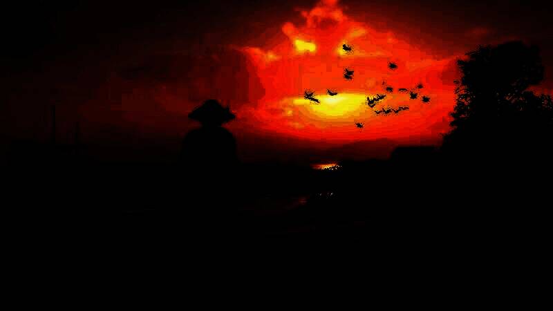 《刺客信条：影》电脑壁纸1