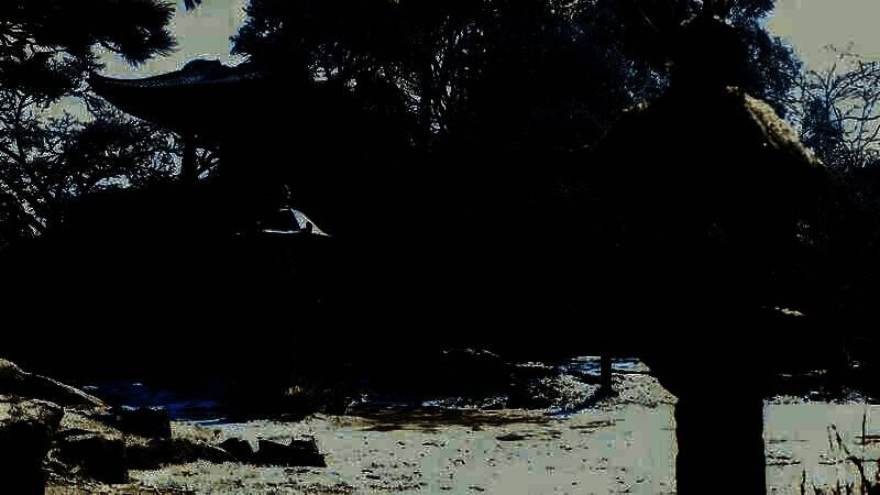 《刺客信条：影》电脑壁纸3