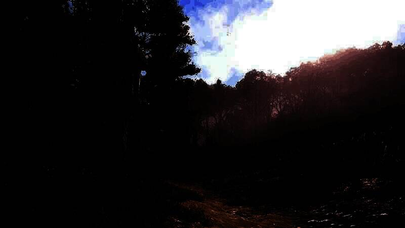 《刺客信条：影》电脑壁纸7