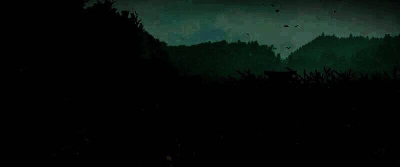 《刺客信条：影》电脑壁纸9