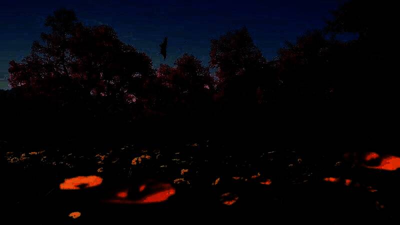 《刺客信条：影》电脑壁纸16