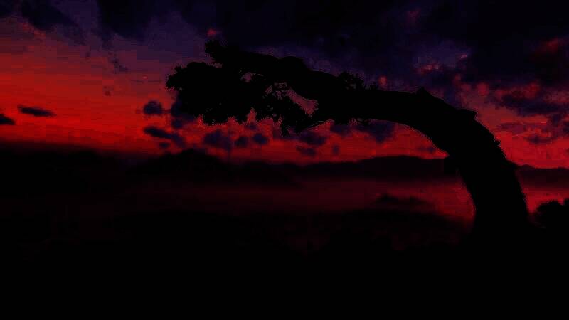 《刺客信条：影》电脑壁纸26