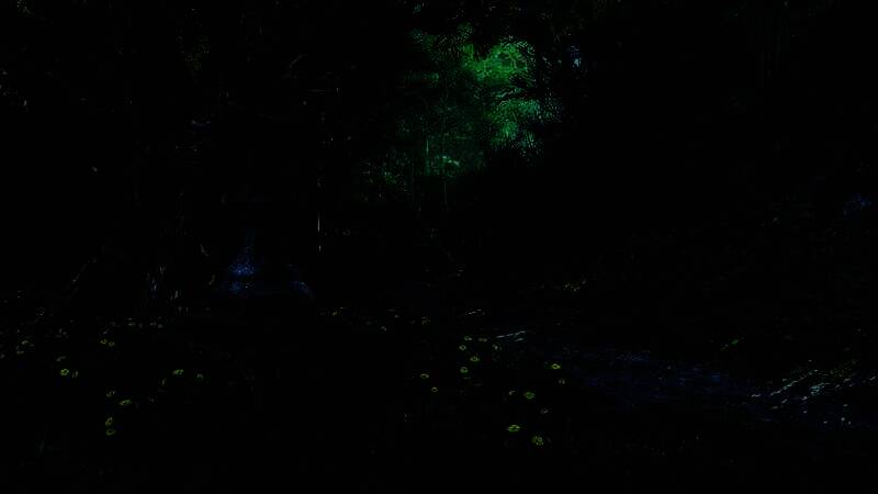 《刺客信条：影》电脑壁纸28