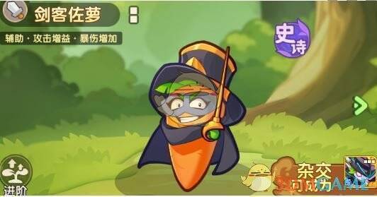 洋葱杀手等植物相关画面