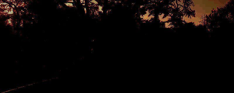 《刺客信条：影》相关画面