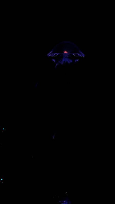 逆水寒万物有灵时装相关图片12