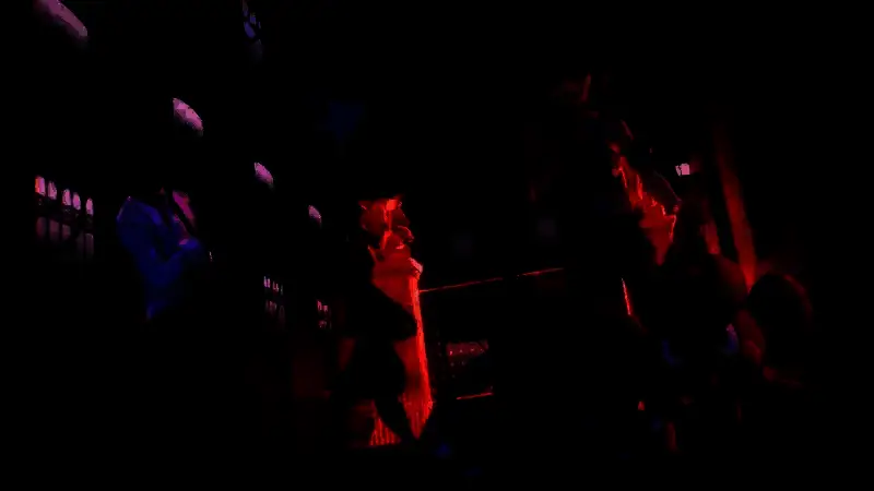 宝可梦战斗画面