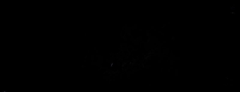 《刺客信条：影》传奇丹顶鹤位置相关图片2