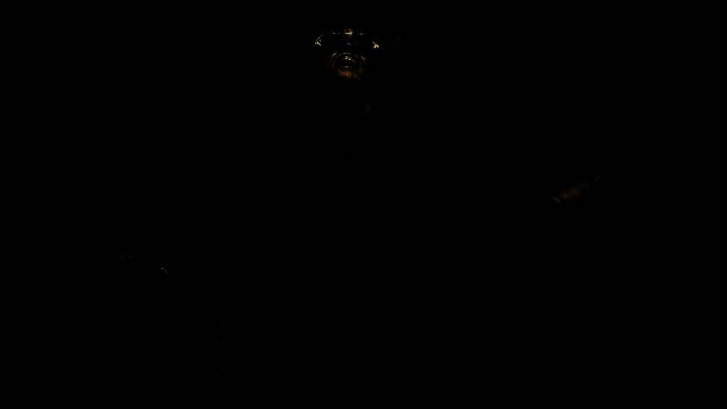 《逃生：试炼》相关图片