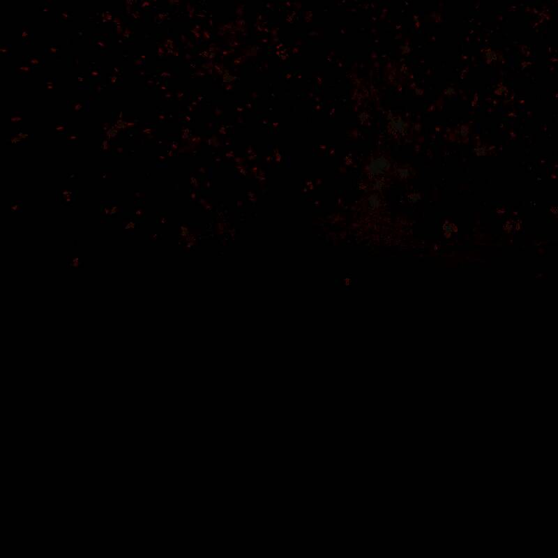 《明末：渊虚之羽》新截图中的场景一