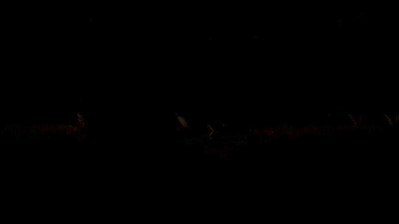 《明末：渊虚之羽》新截图中的场景八