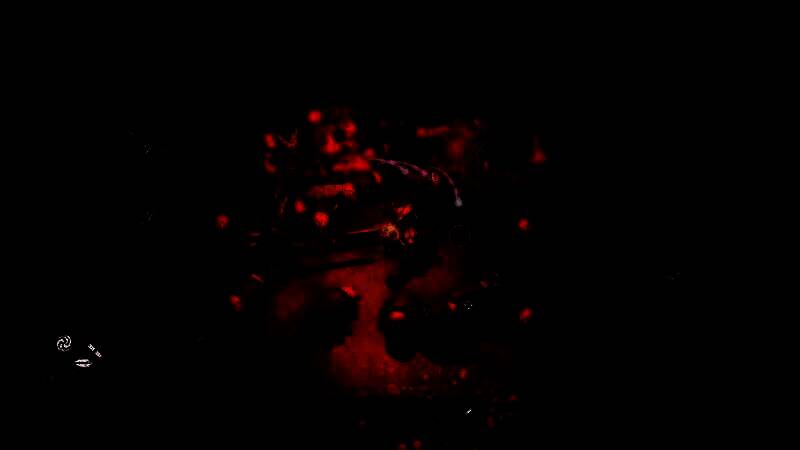 《Grym: Knights in the Garden》游戏截图3