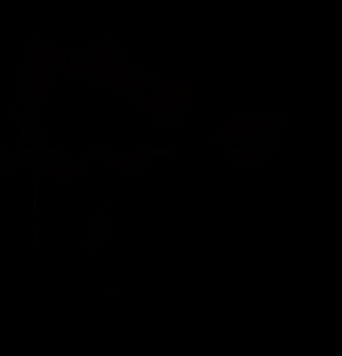 旋转拼图完成后画面