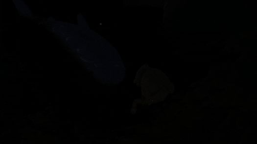 金垦小镇游戏截图5