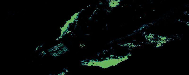 帝国全面战争布阵示例图