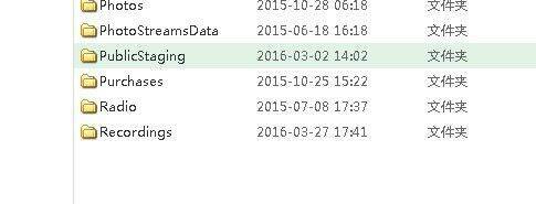 爱思助手找到Recording文件界面截图