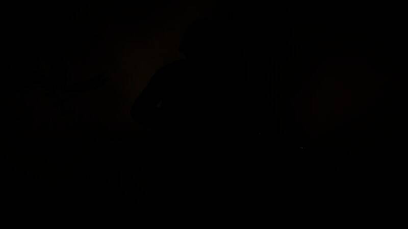 《浅红2》淞沪会战DLC截图6