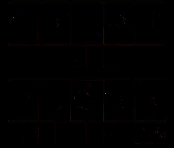 龙息神寂推荐阵容配图