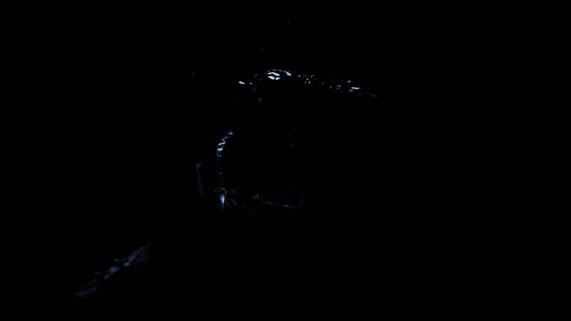 《巫师4》首发预告片幕后花絮视频截图6