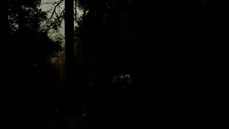 《模拟美景摄影》游戏截图3