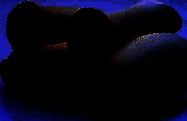 鸡腿菇与酒相关图片